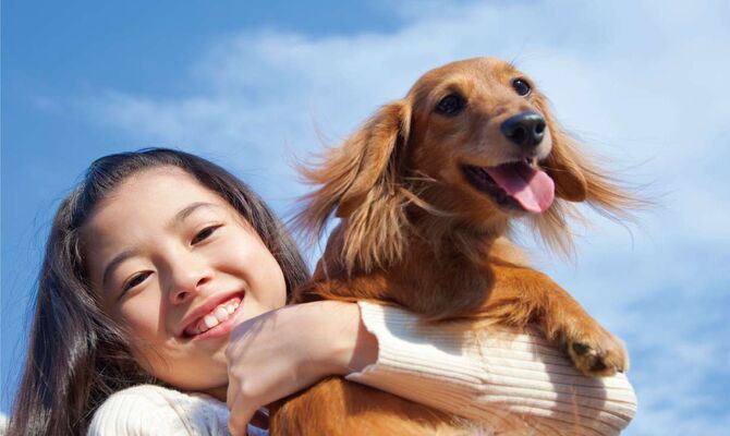 犬01