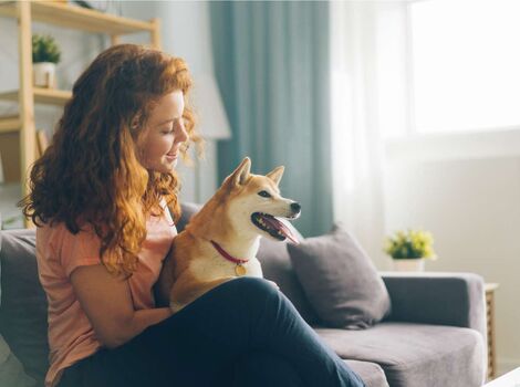 犬05