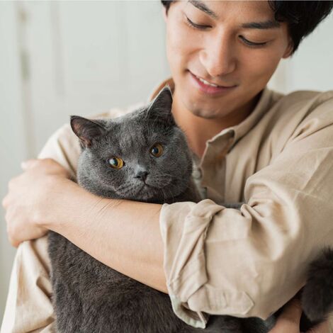猫02