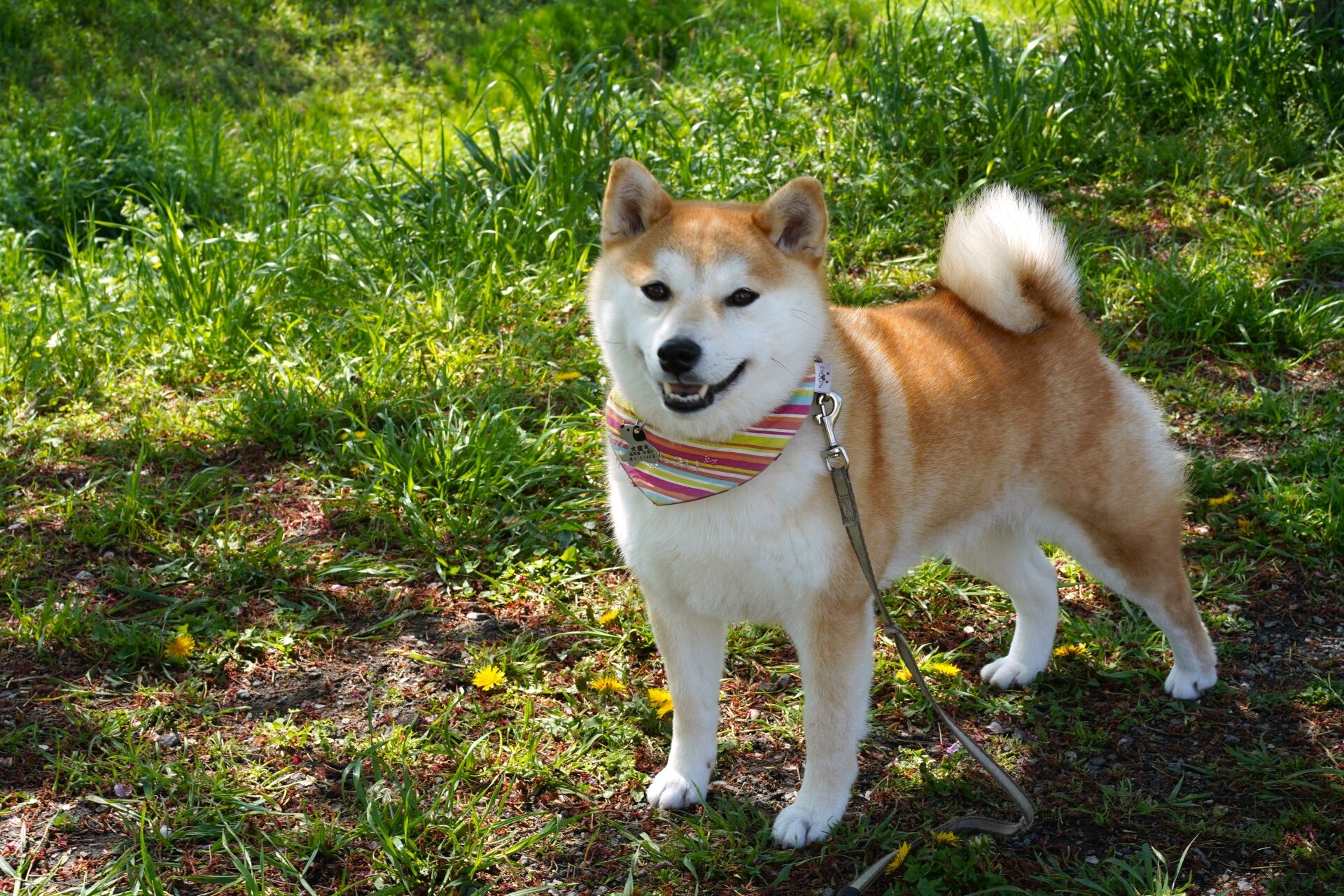 23850236_m