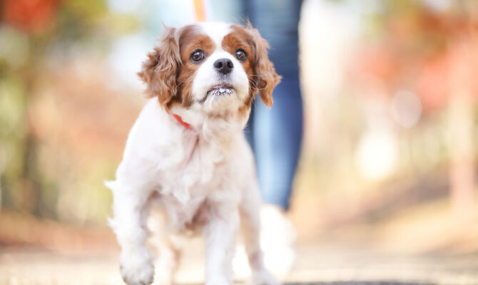 23349176_m